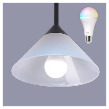 /assets/alt_1/LSH-E27RGB10W.jpg?20210223162438