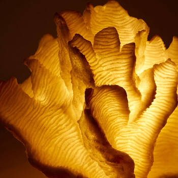 /assets/alt_1/LT.036.WH.jpg?20250415133121