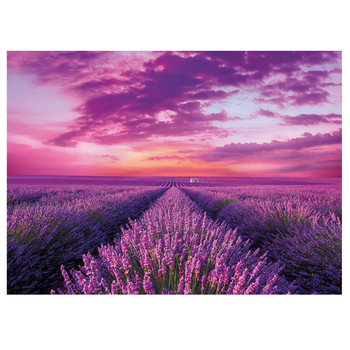 /assets/alt_1/MJ-019188.jpg?20220119142202