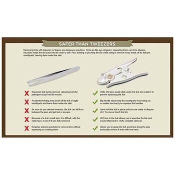 /assets/alt_1/MS-0155-0661.jpg?20251031110923