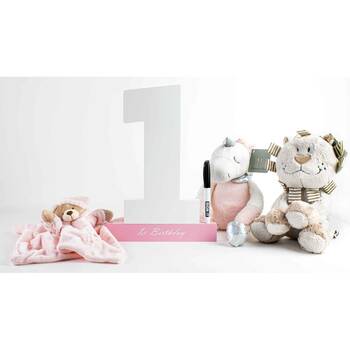 /assets/alt_1/NG309.jpg?20260209111741