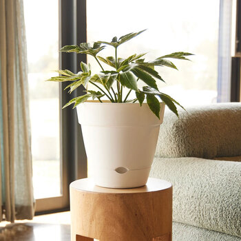 /assets/alt_1/NO2408-WH.jpg?20240415102456