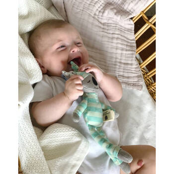 /assets/alt_1/OFB217.jpg?20250219173755