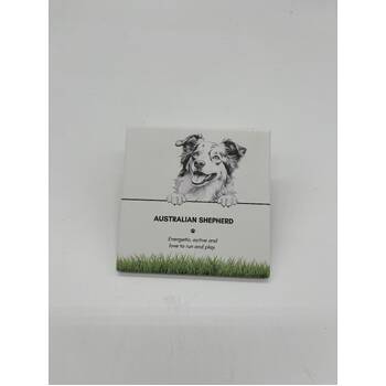 /assets/alt_1/PET-CST01_6PK.jpg?20250919161541