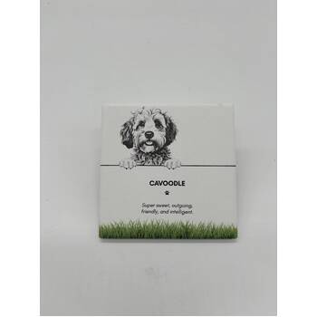 /assets/alt_1/PET-CST03_6PK.jpg?20250919161545