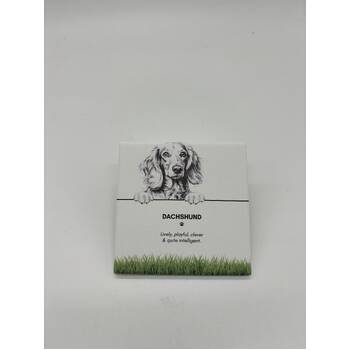 /assets/alt_1/PET-CST04_6PK.jpg?20250919161548