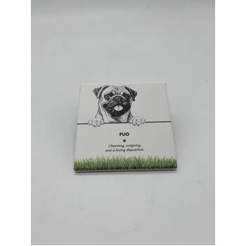 /assets/alt_1/PET-CST11_6PK.jpg?20250919161557