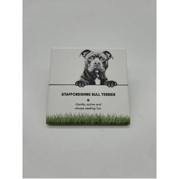 /assets/alt_1/PET-CST12_6PK.jpg?20250919161559