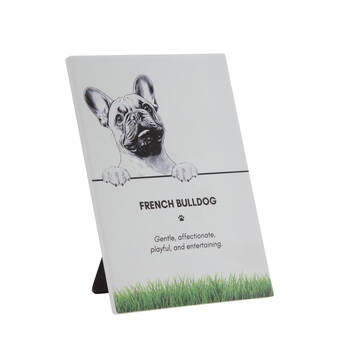 /assets/alt_1/PET-PLAQ05_2PK.jpg?20250919161906