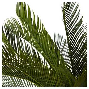 /assets/alt_1/PP.045.GN.jpg?20231222100456
