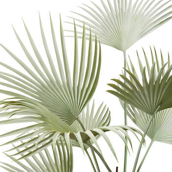 /assets/alt_1/PPP.016.GYGN.jpg?20250416111158