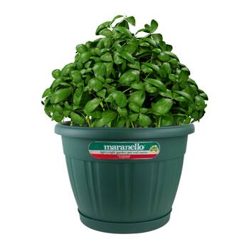 /assets/alt_1/PSMAR425.33_2PK.jpg?20260324140149