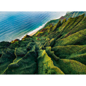 /assets/alt_1/RB01387-7.jpg?20250325175043