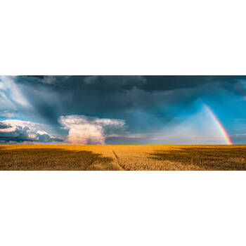 /assets/alt_1/RB17493-5.jpg?20250326144301