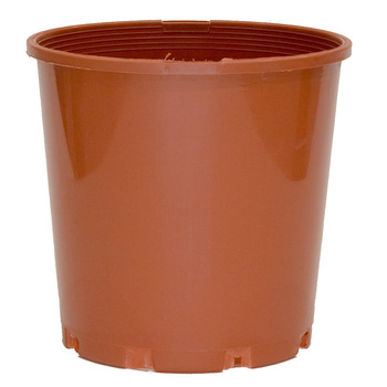 /assets/alt_1/RRSTD175.02_10PK.jpg?20240816101613