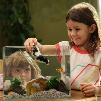 /assets/alt_1/SC13797-B.jpg?20250722130850