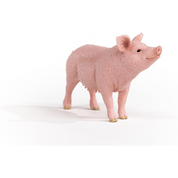 /assets/alt_1/SC13933.jpg?20240722110541