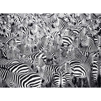 /assets/alt_1/SC14807.jpg?20240715121158