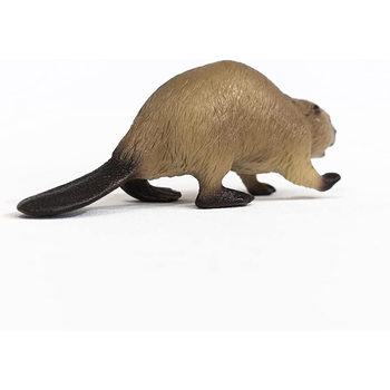 /assets/alt_1/SC14855.jpg?20240722110115