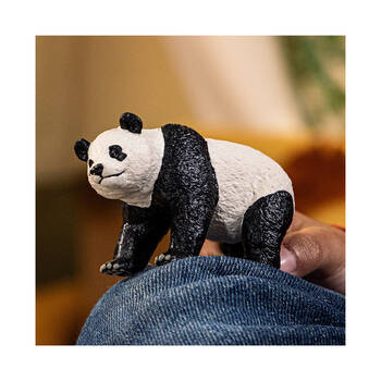 /assets/alt_1/SC14885.jpg?20250401140109