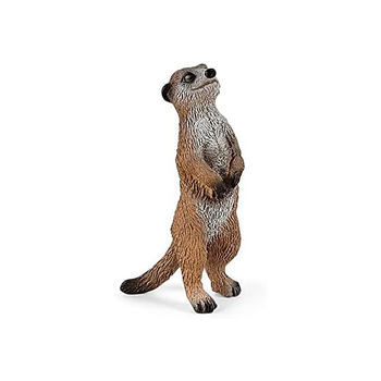 /assets/alt_1/SC42530.jpg?20240715120600