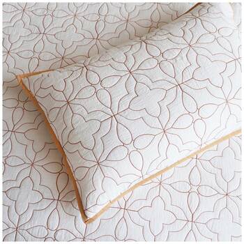 /assets/alt_1/SH332430.jpg?20251029083150