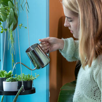 /assets/alt_1/TG282.jpg?20250715102057