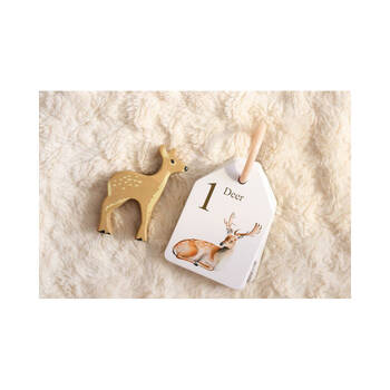 /assets/alt_1/TL4725.jpg?20250108091702