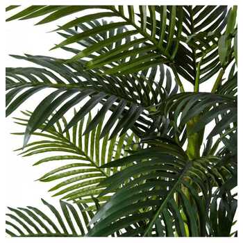 /assets/alt_1/TP.055.GN.jpg?20231222100202