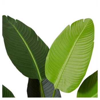 /assets/alt_1/TP.086.GN.jpg?20231222100553