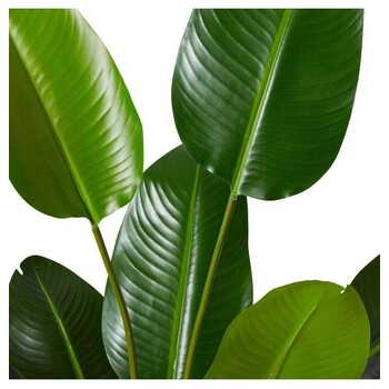 /assets/alt_1/TP.091.GN.jpg?20231222100804