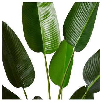 /assets/alt_1/TP.092.GN.jpg?20231222100247