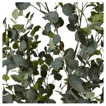 /assets/alt_1/TP.111.GYGN.jpg?20231222100436