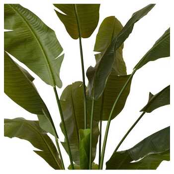 /assets/alt_1/TP.148.GN.jpg?20231222100212