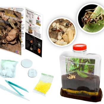 /assets/alt_1/TTWES-925-AG.jpg?20210223165739