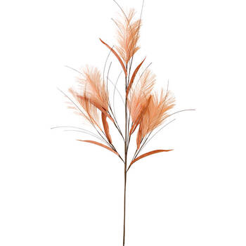 /assets/alt_1/UC505169_6PK.jpg?20250916111738