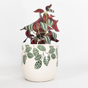 /assets/alt_1/UG152123.jpg?20240405091731