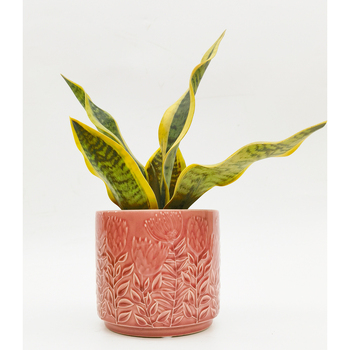 /assets/alt_1/UG152155.jpg?20240829112007