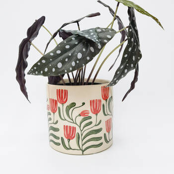 /assets/alt_1/UG152181.jpg?20250410161404