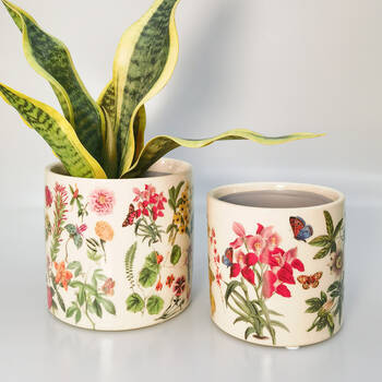 /assets/alt_1/UG152188.jpg?20250915084850