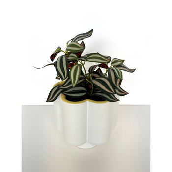 /assets/alt_1/UG165013.jpg?20240405092150