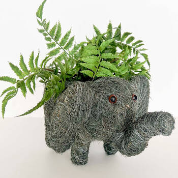 /assets/alt_1/UG183318.jpg?20250410162916