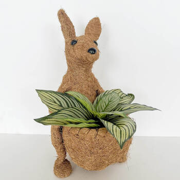 /assets/alt_1/UG183319.jpg?20250410162921