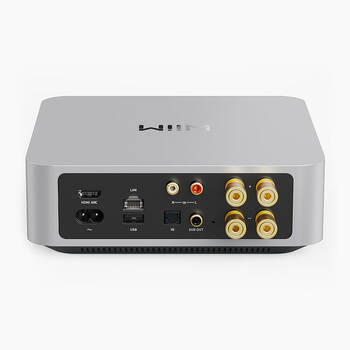/assets/alt_1/WIIM-AMP-SL.jpg?20250508151608