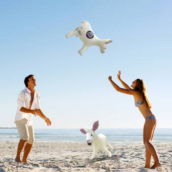 /assets/alt_1/WM05196-EN1-6.jpg?20250820103118