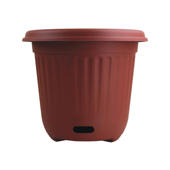 /assets/alt_1/WSTRND400.MR_3PK.jpg?20240816151007