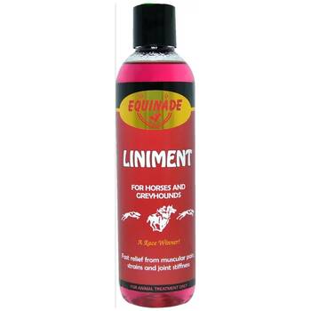 /assets/alt_1/XEL250.jpg?20251222163056