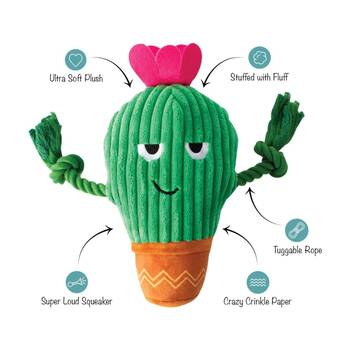 /assets/alt_1/XFSCAC.jpg?20251219104909