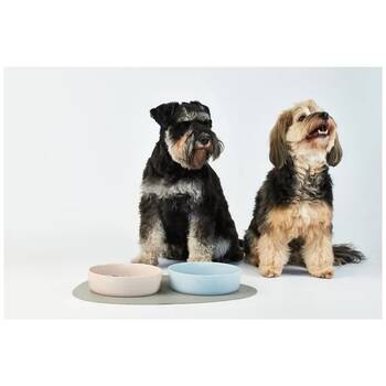 /assets/alt_1/XLDPBCLOLG.jpg?20251222163050