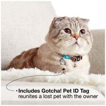 /assets/alt_1/XMMCCOLMYK.jpg?20251219104636